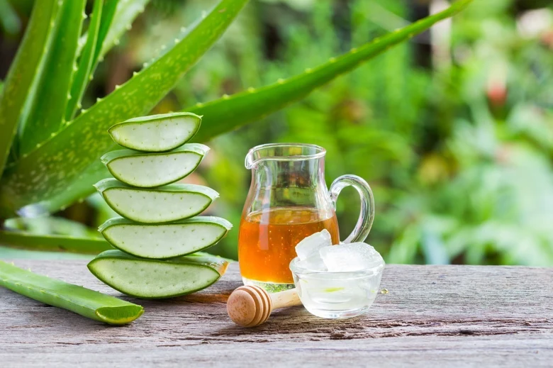 Čerstvé nakrájené listy aloe vera vedle sklenice medu.