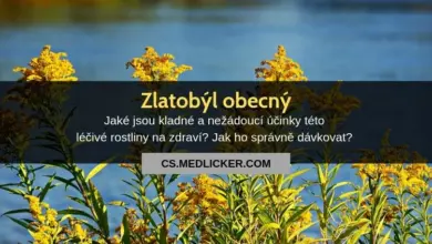 Fotografie běžného zlatobýlu rostoucího u vody.
