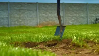 Špachtle v zelené trávě u odhaleného půdního povrchu.