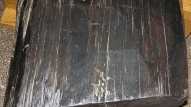 Tmavý kus ebenového dřeva s viditelnou texturou žilnatiny.