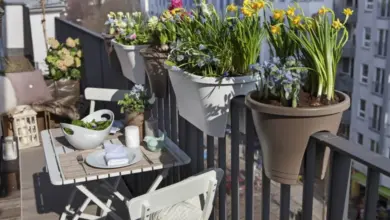 Květiny v květináčích na slunci na balkóně s jídelním stolem