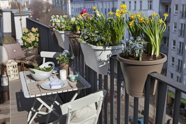 Květiny v květináčích na slunci na balkóně s jídelním stolem