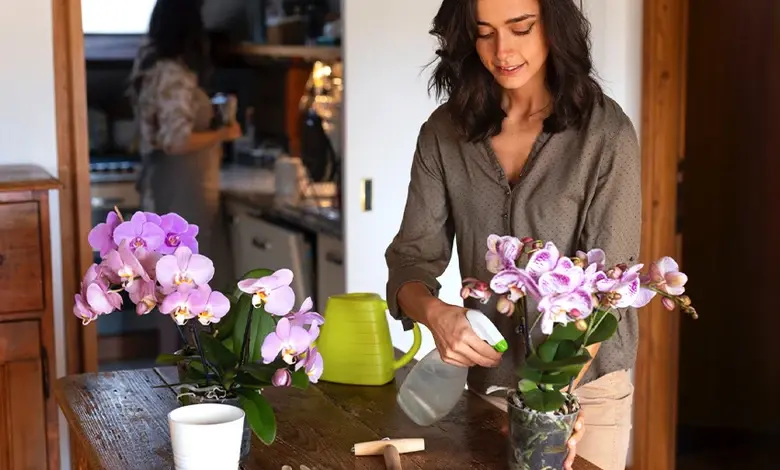 Žena zavlažuje fialové orchideje na dřevěném stole v kuchyni.