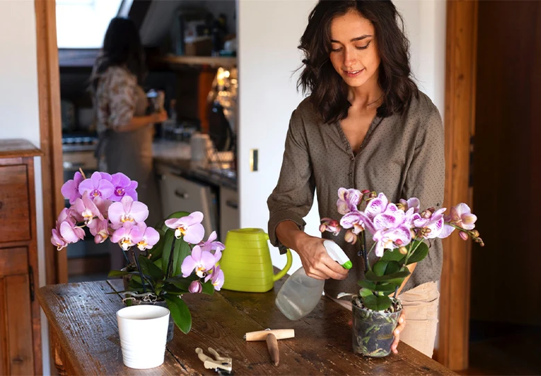 Žena zavlažuje fialové orchideje na dřevěném stole v kuchyni.