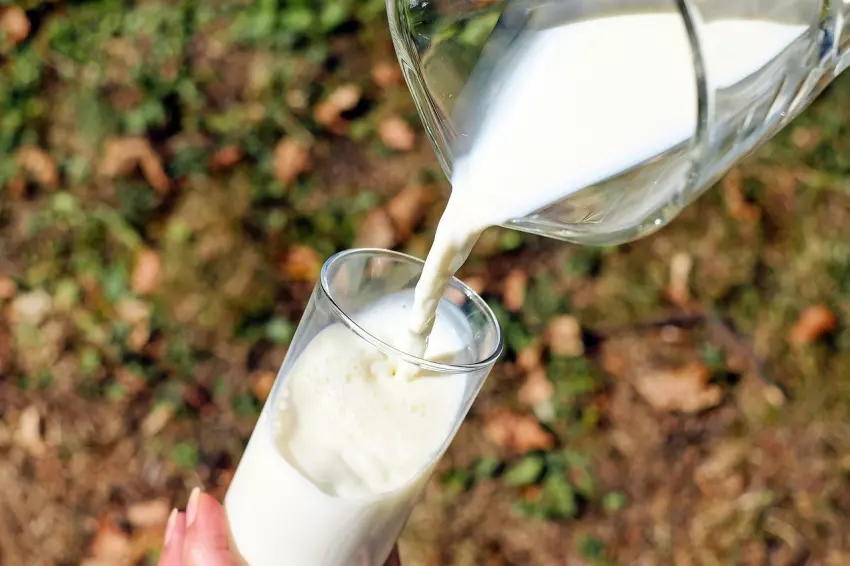 Mléko se nalévá do sklenice na pozadí zahrady.