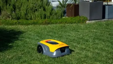 Autonomní robota sekačka na trávu pracuje v zahradě.