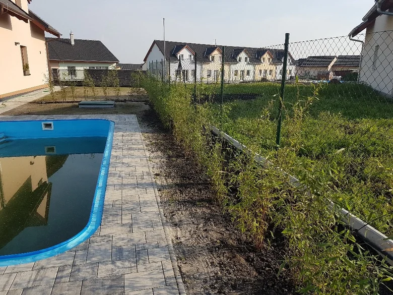 Zelený živý plot s keřmi vedle bazénu za pletivem