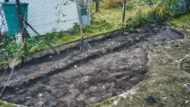 Připravená půda pro trvalky u plotu s motykou.
