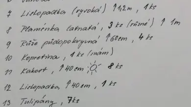 Ručně psaný seznam trvalkových rostlin pro sluneční záhon