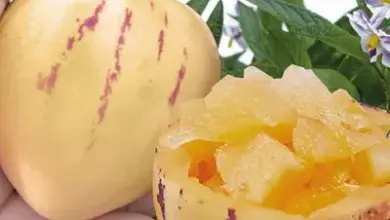 Ruka drží žluté ovoce pepina s proužky vedle rozřezané poloviny.
