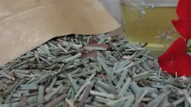 Suchá citrónová verbéna v pytlíku s šálkem čaje