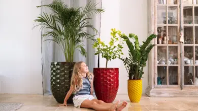 Dívka sedí na podlaze mezi třemi velkými pokojovými rostlinami v barevných květináčích.