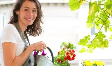 Žena zalévá květiny na balkóně v zimním období.