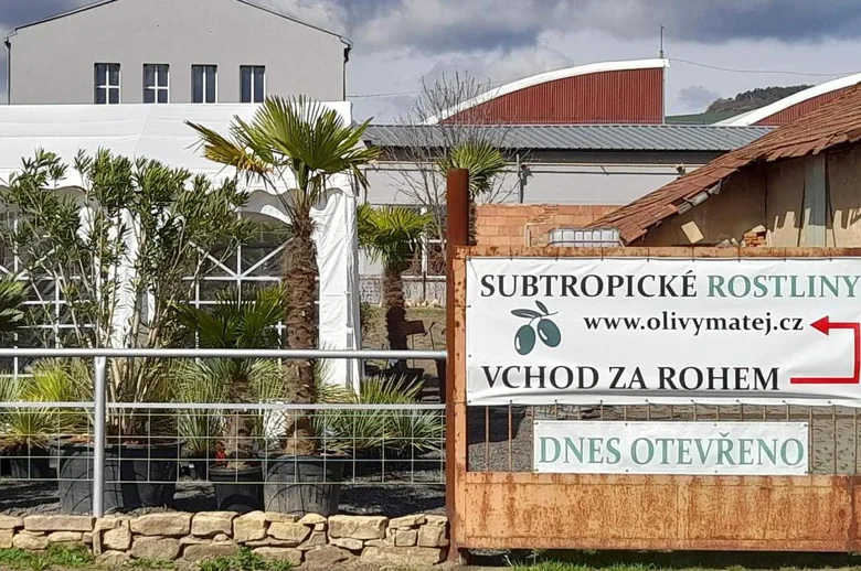 Tabule s nápisem o subtropických rostlinách před skleníkem.