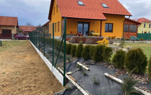 Zelený plot s keřovými rostlinami u žlutého domu.