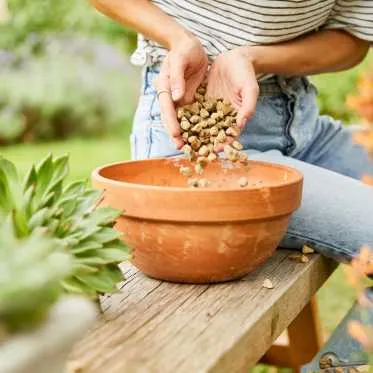 Person adding fertilizer to pot