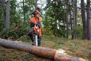 Muž v ochranném obleku řezí kmen stromu pilou na řetěz.